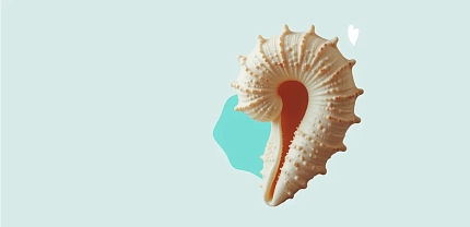 Комплексное обследование лор-органов и слуха (10/23)