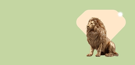 Базовая проверка здоровья мужчины 40+